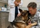 A Dy*ing Dog Hugged a Veteran One Last Time — Then the Vet Noticed Something No One Expected